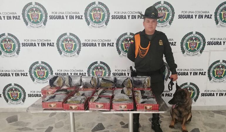 Marihuana incautada en aeropuerto Perales de Ibagué