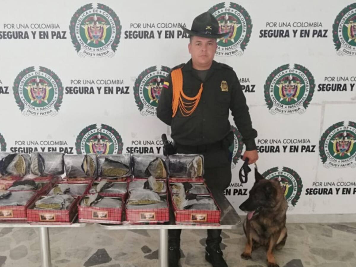 Incautan cargamento de marihuana en aeropuerto Perales de Ibagué