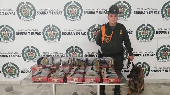 Marihuana incautada en aeropuerto Perales de Ibagué