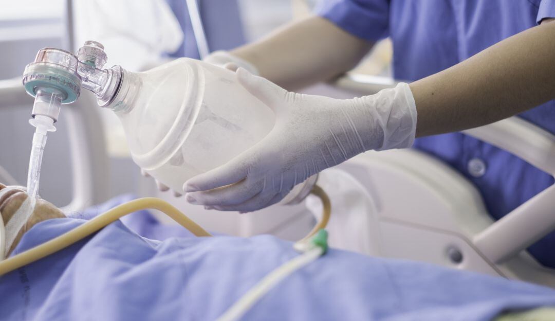 Imagen de referencia