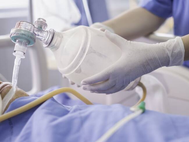 Imagen de referencia