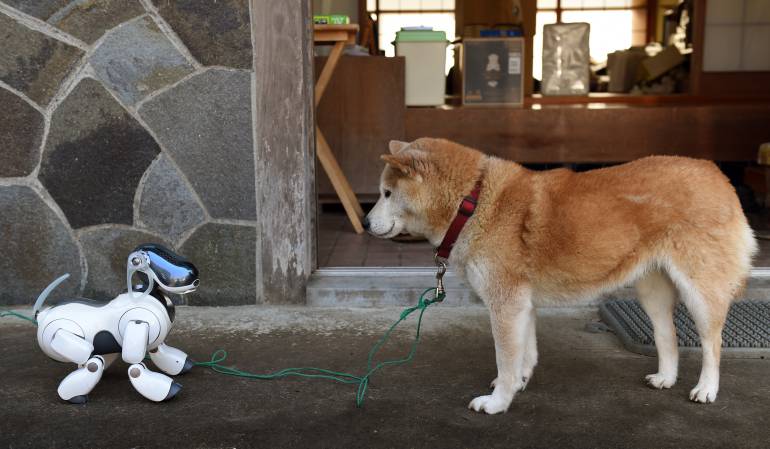 Imagen de referencia 