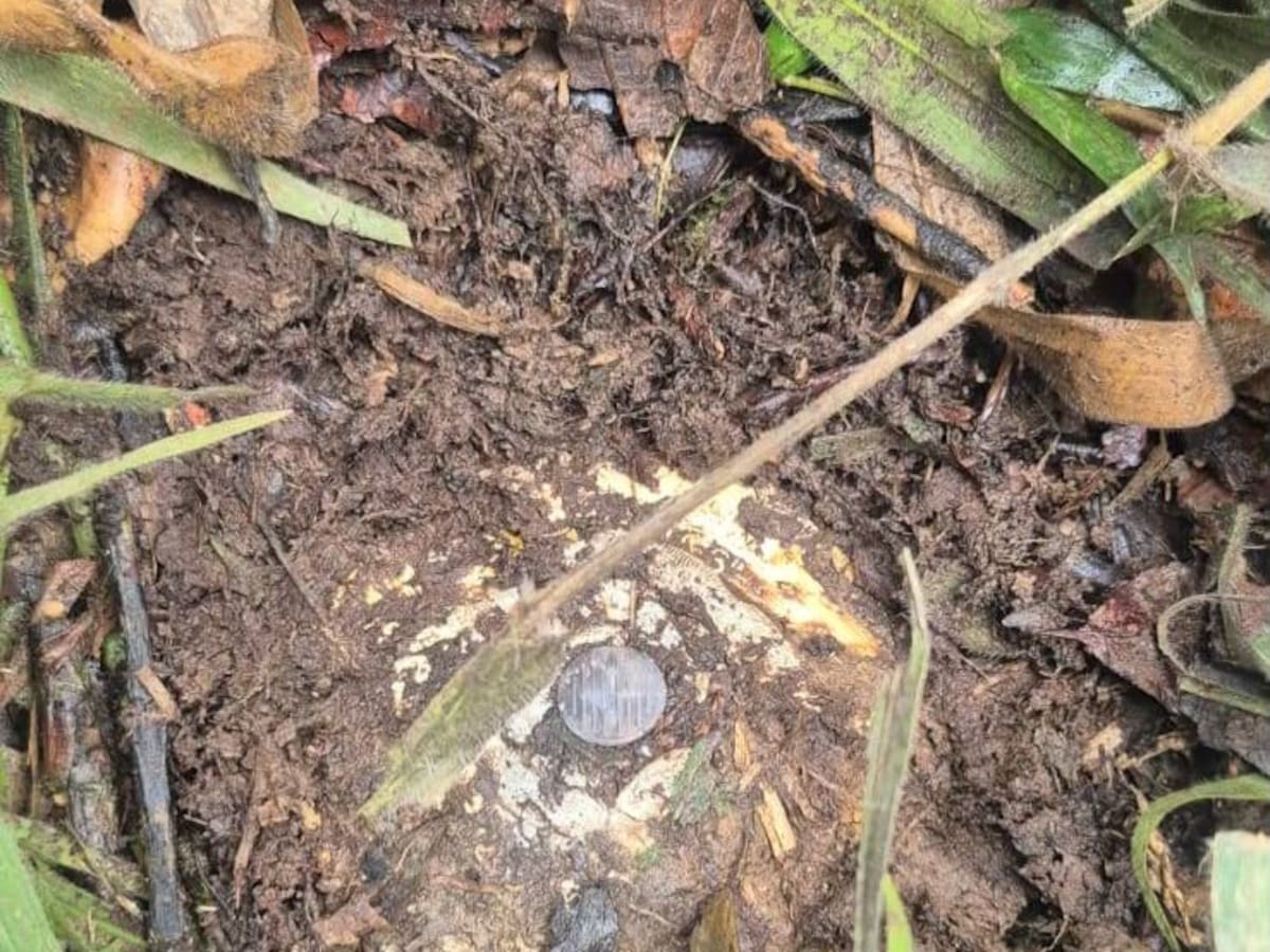 Ejército destruyó cuatro artefactos explosivos en zona rural de Anorí, Antioquia