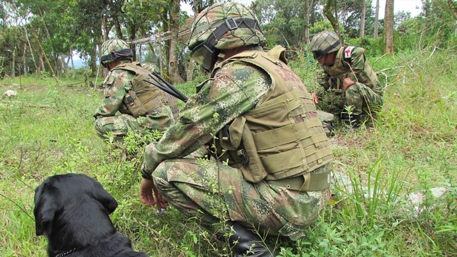 Imagen de referencia. Foto: Colprensa