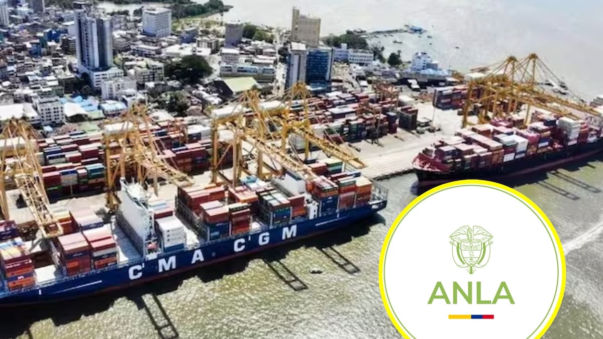ANLA defiende su competencia como autoridad ambiental en el Muelle 13 de Buenaventura