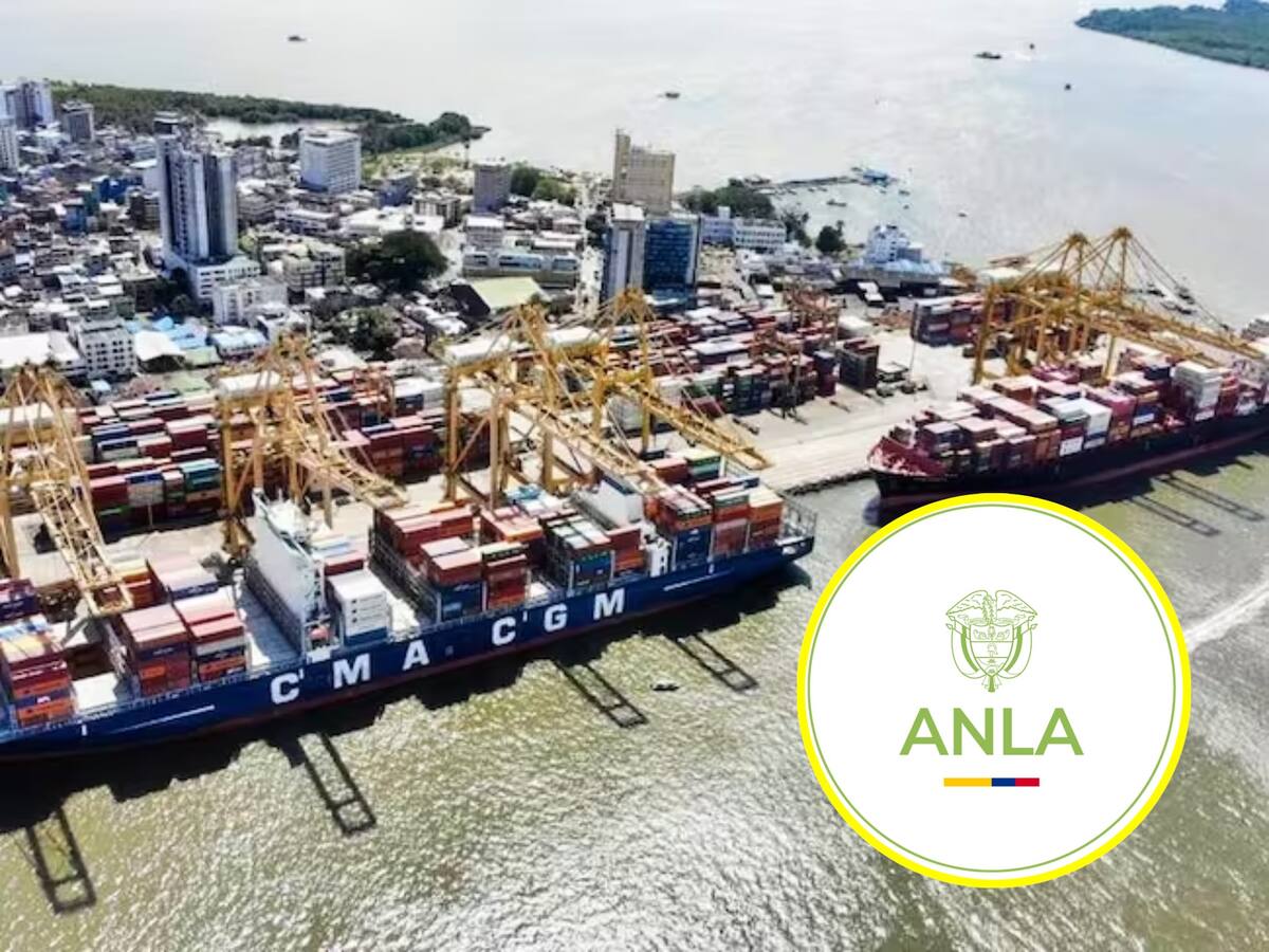 Procuraduría solicita a la ANLA levantar la suspensión de operaciones en Muelle 13 de Buenaventura