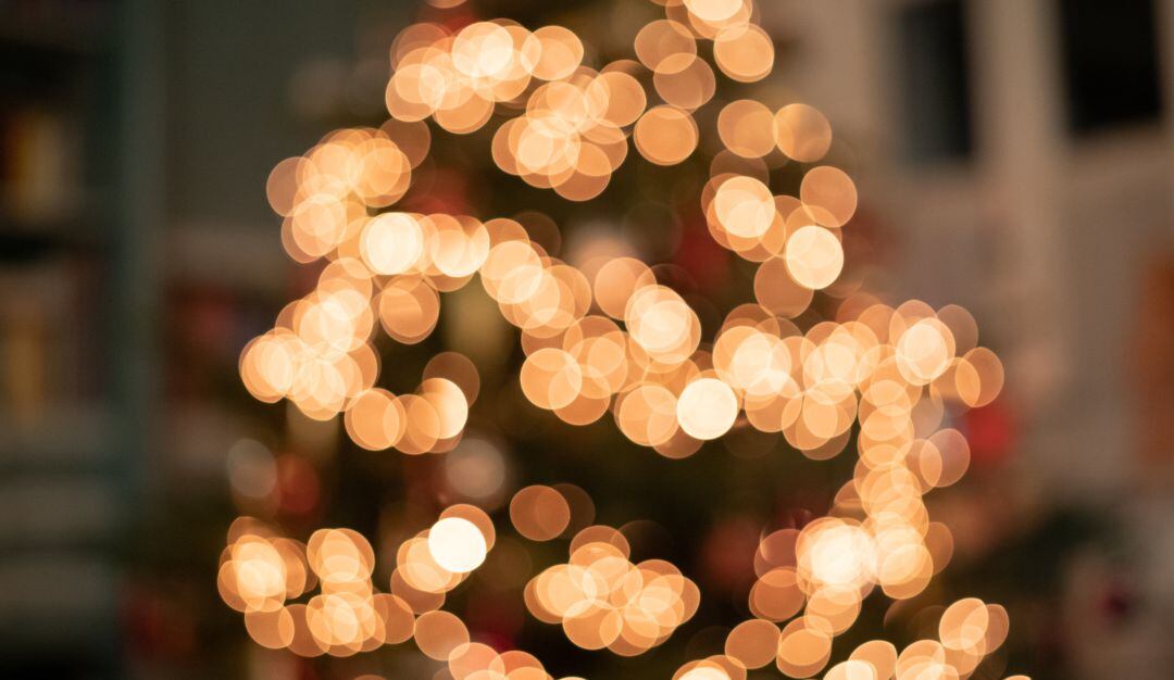 Árbol gigante de navidad es construido con los envases de las vacunas COVID