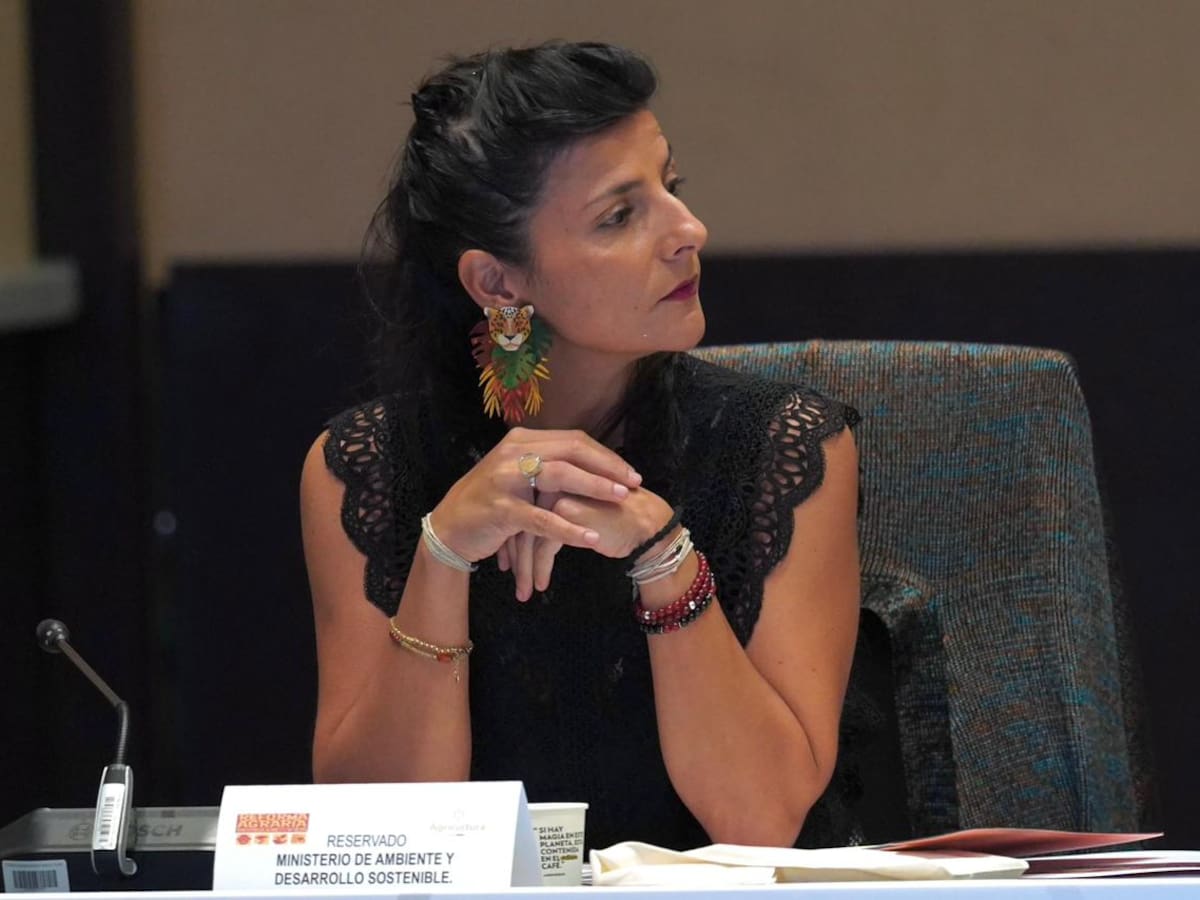 Gobierno destina $47.000 millones para cumplir punto ambiental del Acuerdo de Paz