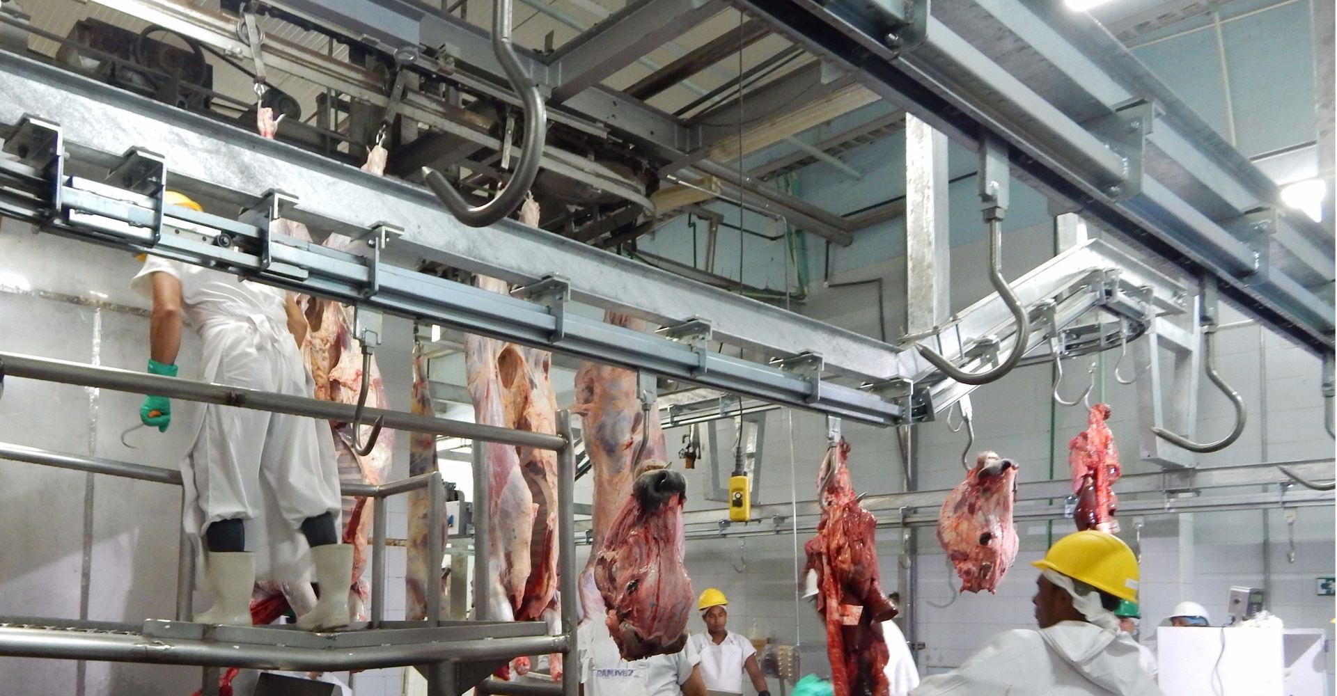 El abigeato aumenta en esta zona del país.