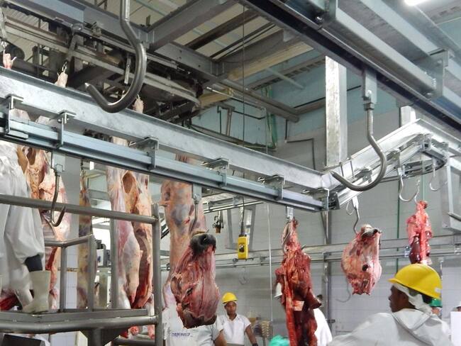 El abigeato aumenta en esta zona del país.