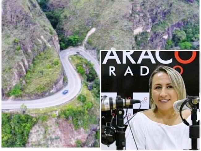 Deslizamientos de tierra, deficiencias en el diseño, falta de mantenimiento y aumento del tráfico vehicular