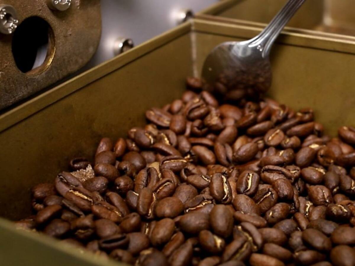 El Tolima cuenta con un moderno Laboratorio de Cafés Especiales