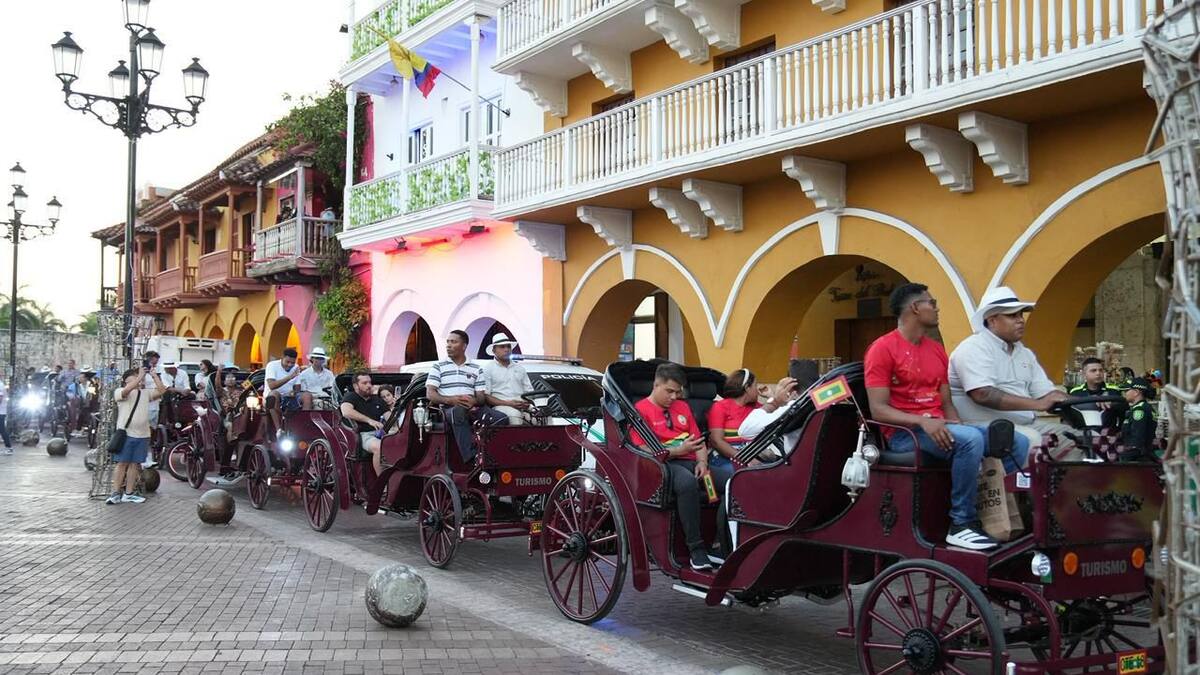 Así fue la hoja de ruta para eliminar la violencia animal en el Centro Histórico