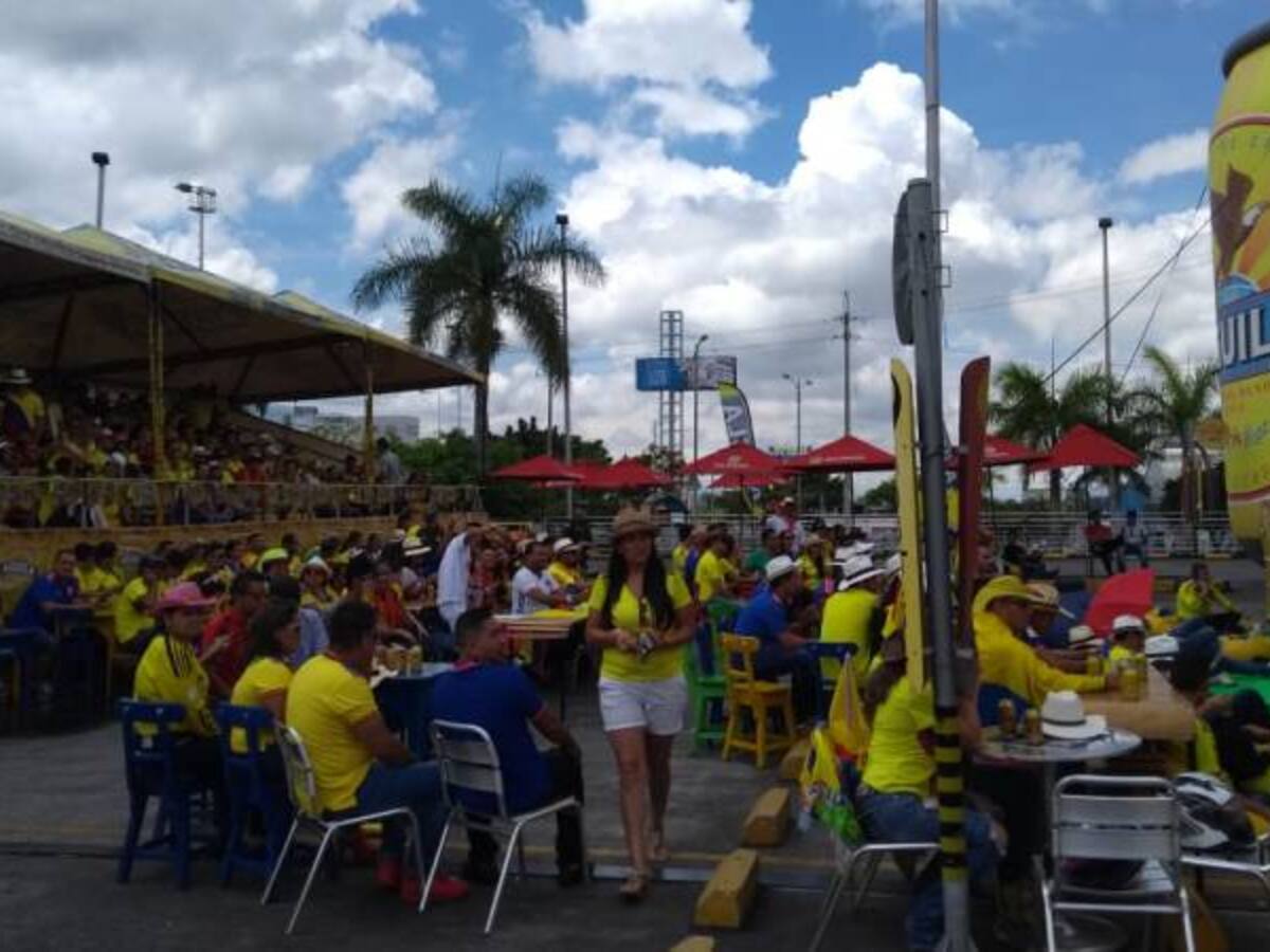 Ibaguereños celebraron triunfo de la selección Colombia