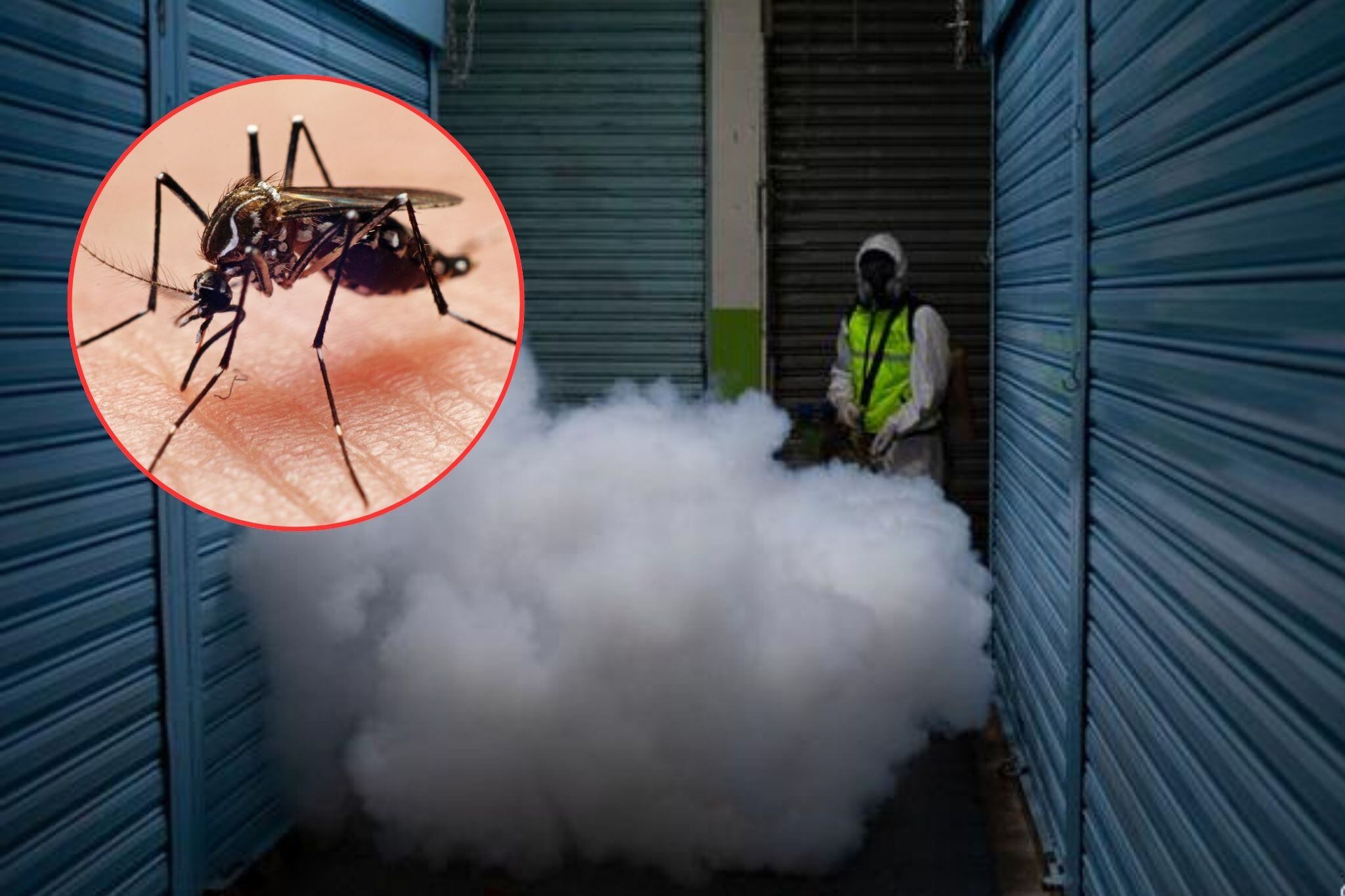 Fotos tomadas de DW y Getty Images.