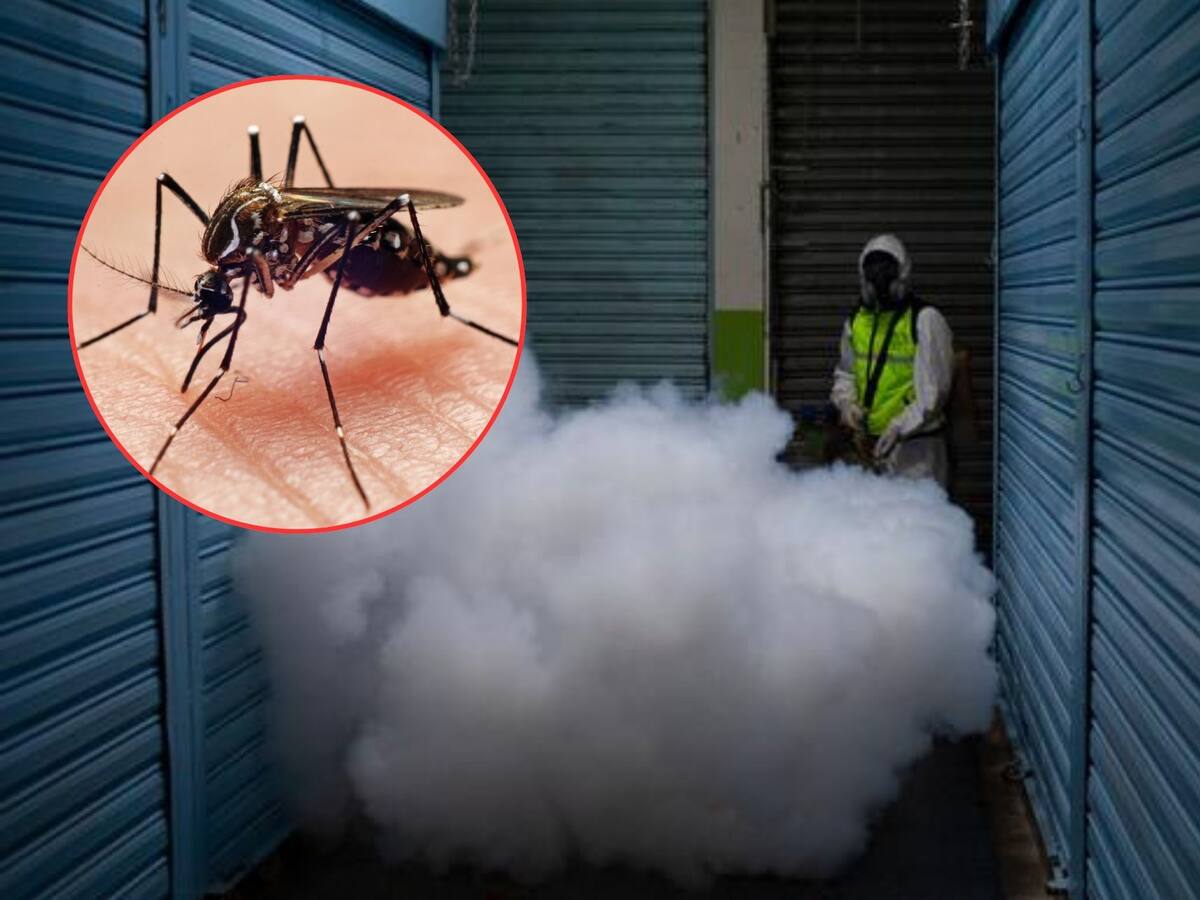 Guatemala declara emergencia nacional por epidemia de dengue