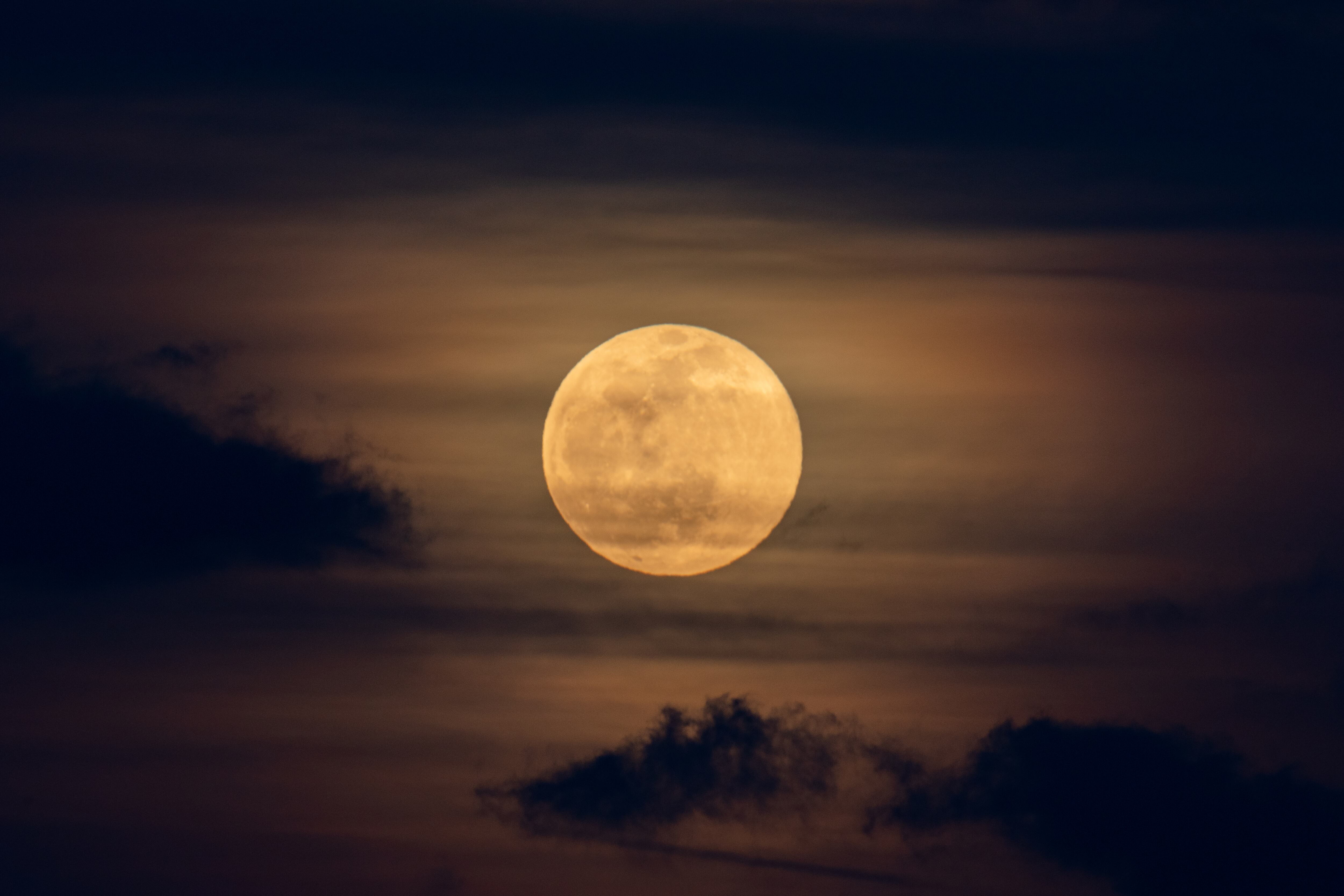 Luna de gusano - Getty Images