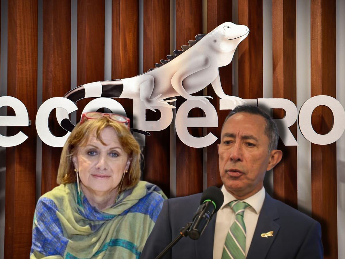 No debería renunciar a Ecopetrol, pero sí tomarse una licencia: Mónica de Greiff sobre Ricardo Roa