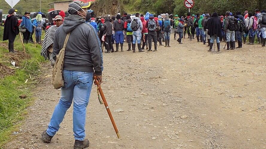 Campesinos y cultivadores de coca logran primeros acuerdos en Cauca. Foto: Colprensa
