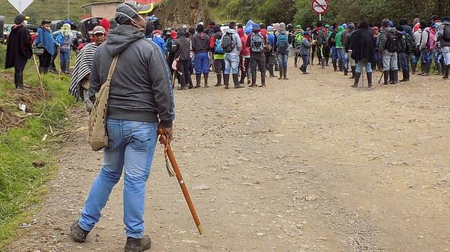 Campesinos y cultivadores de coca logran primeros acuerdos en Cauca. Foto: Colprensa