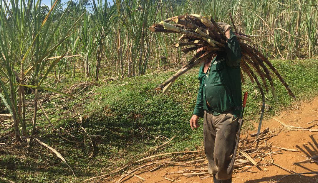 Línea especial de crédito para las víctimas colombianas 