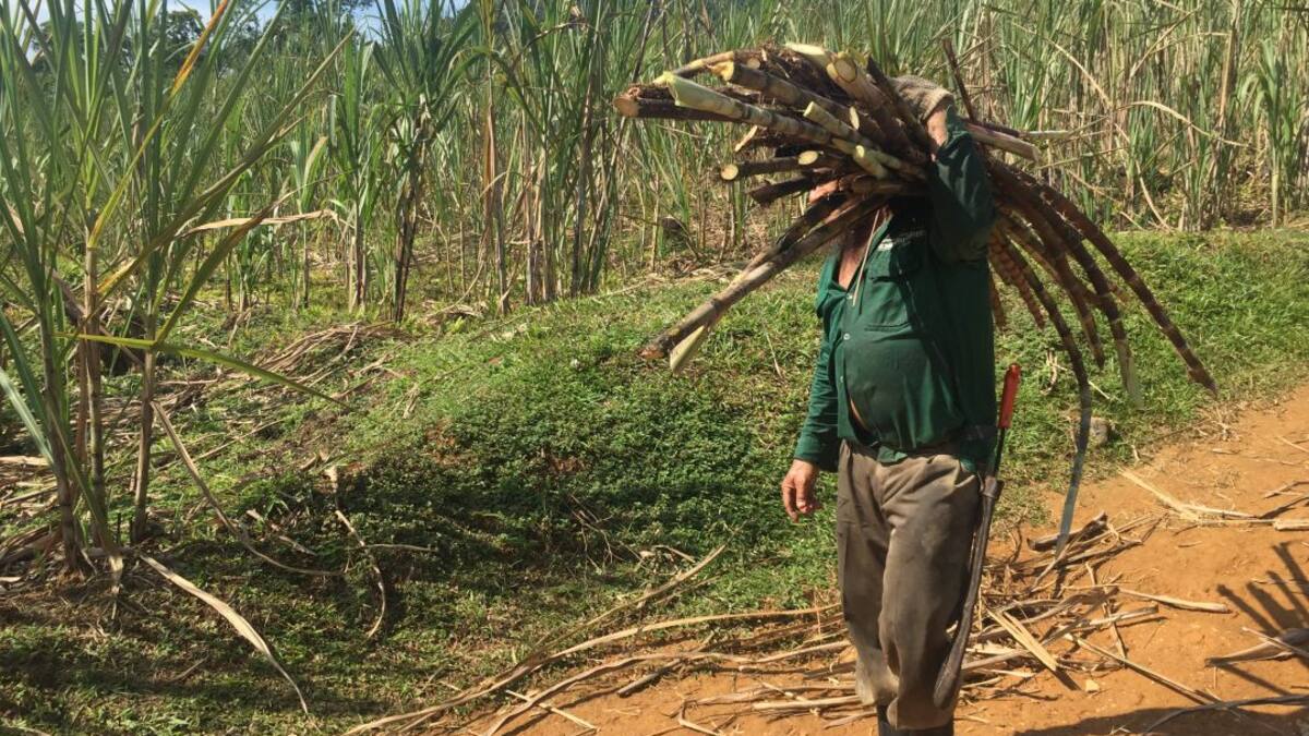 Línea especial de crédito para las víctimas colombianas