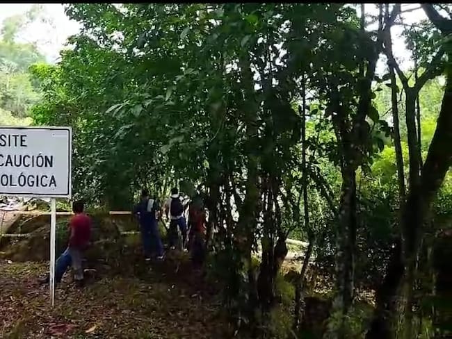Caída de árboles en el derrumbe vía Bucaramanga-Barrancabermeja afectó 64 transformadores