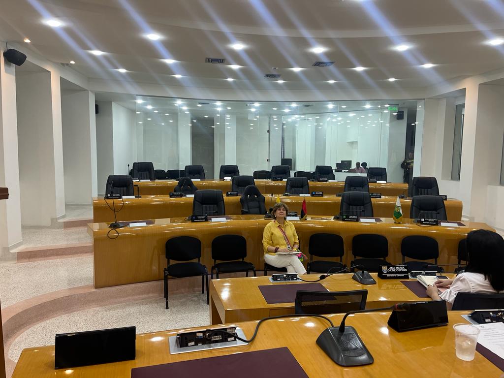 Concejo no llegó a las sesiones extraordinarias