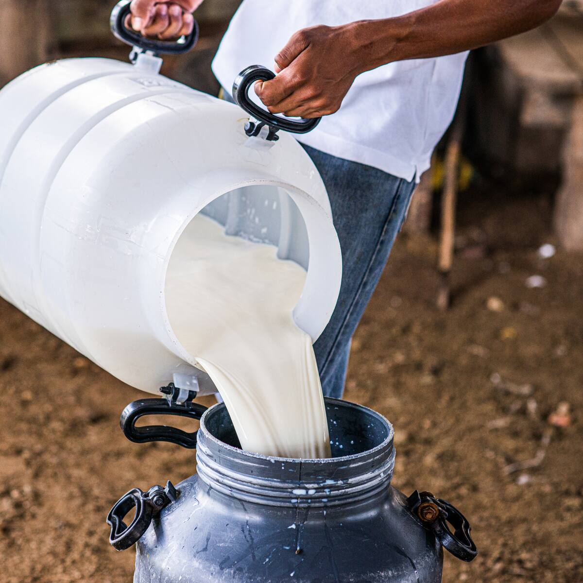Asoleche por paro camionero: “empresas reportan entre 60% y 0% de recolección de leche”