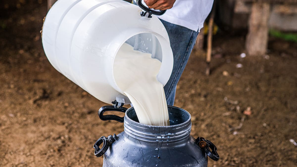 Asoleche por paro camionero: “empresas reportan entre 60% y 0% de recolección de leche”