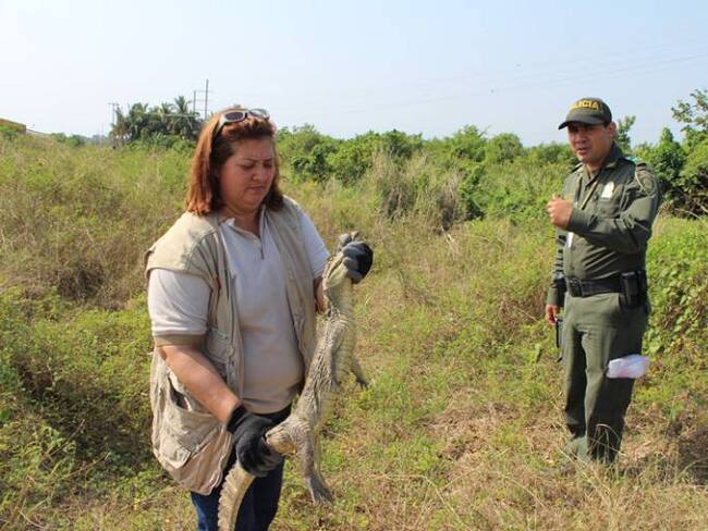 Cardique en Bolívar inició campaña contra el tráfico de especies