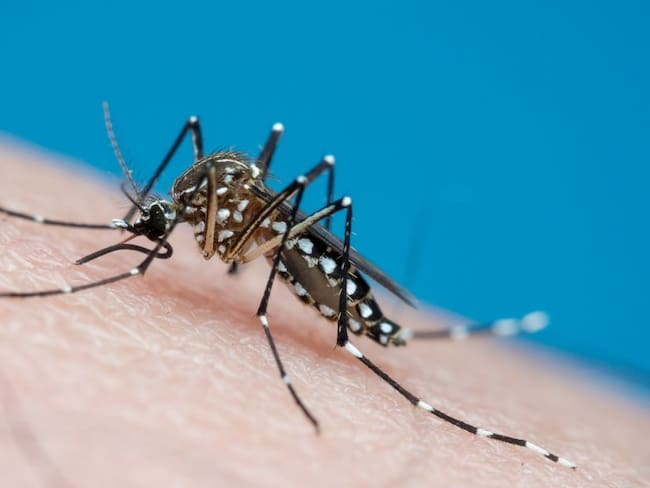 Más de 4 mil casos de Dengue reportados en el Tolima