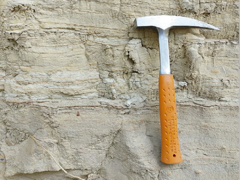 Cortesía : Universidad del Norte