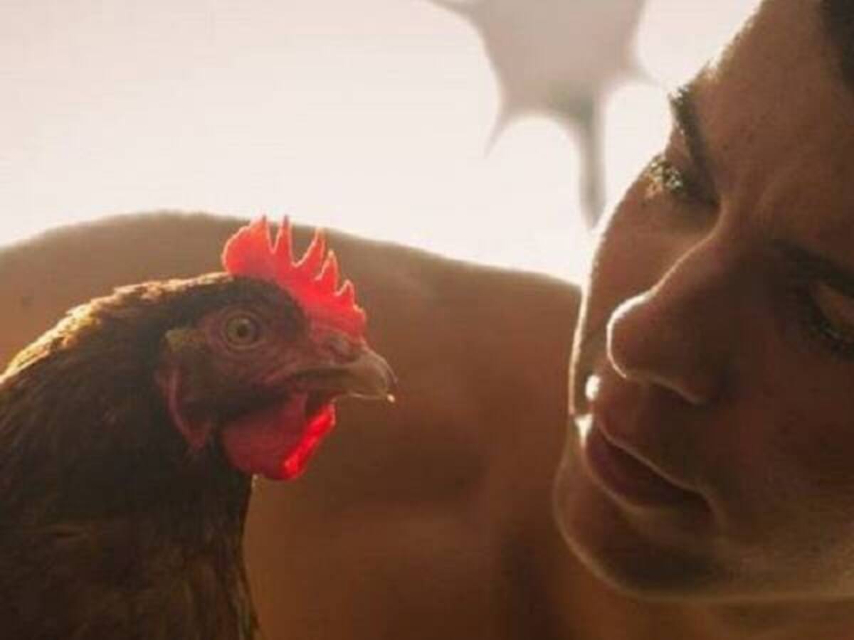 Joven francés recorre el mundo en compañía de una gallina