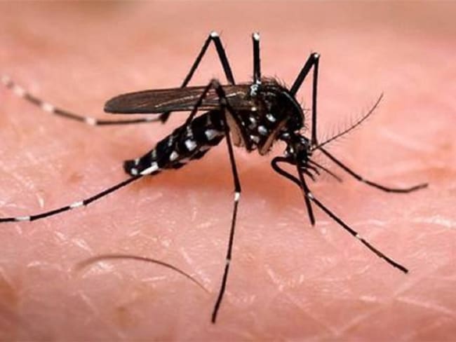 Falleció niña de seis años por dengue en Tuluá