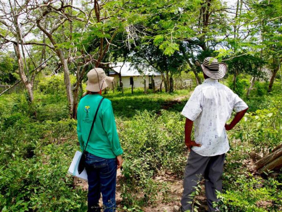 Nuevas sentencias de restitución de tierras en San Jacinto Bolívar