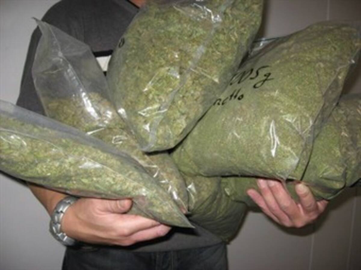 Uruguay decide hoy si se legaliza la marihuana
