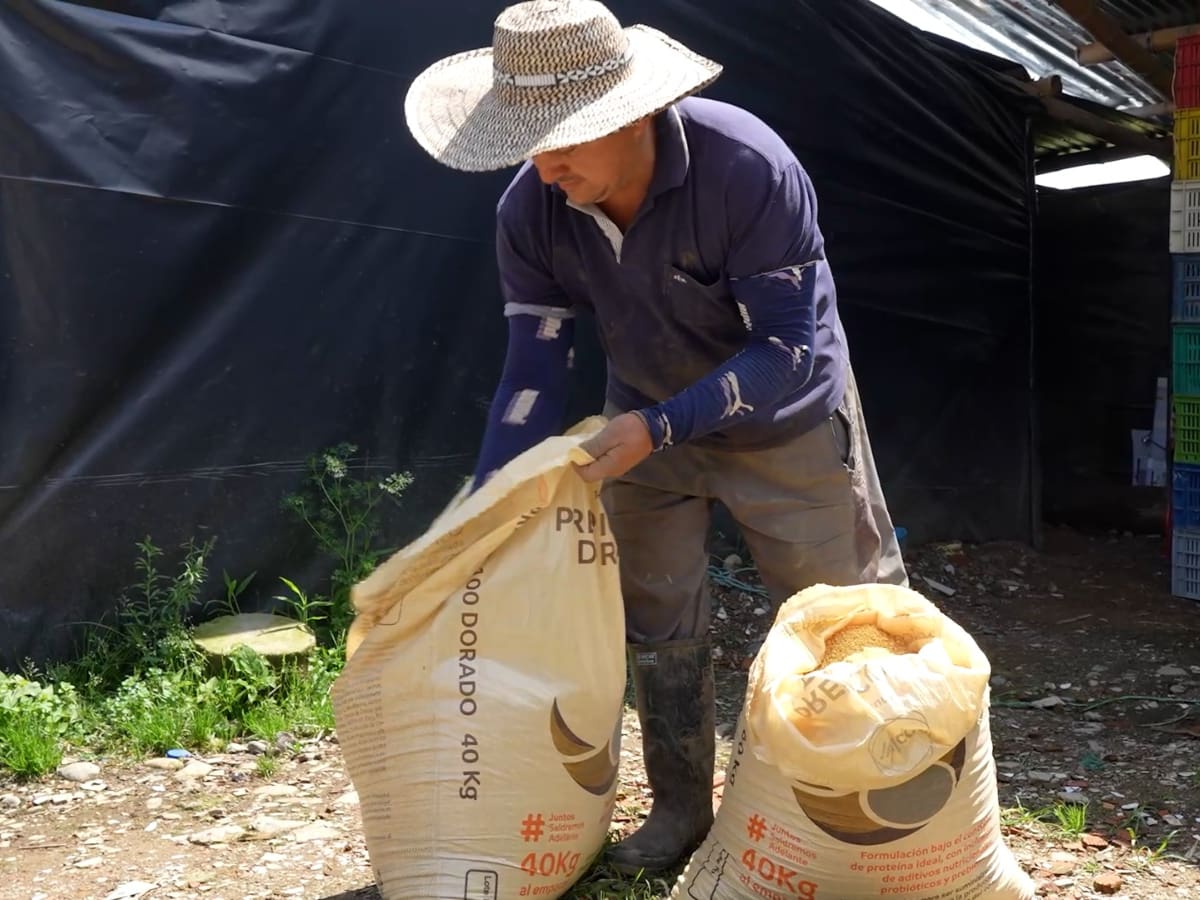 Medellín entregará hasta $2 millones en insumos a productores rurales de los cinco corregimientos