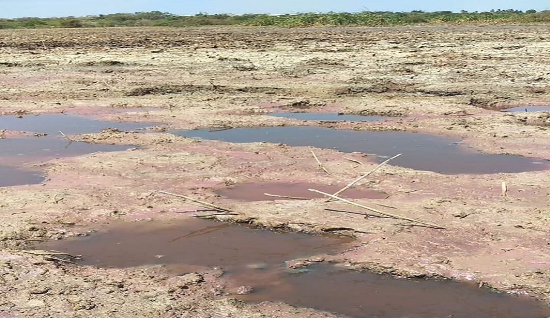 Ciénaga del Convento en Sabanagrande.