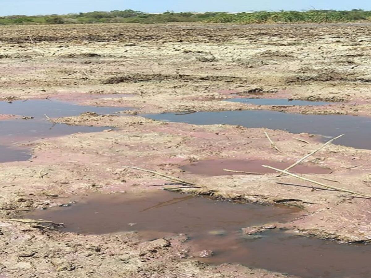 CRA investiga posible contaminación en ciénaga de Sabanagrande