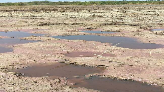 Ciénaga del Convento en Sabanagrande.