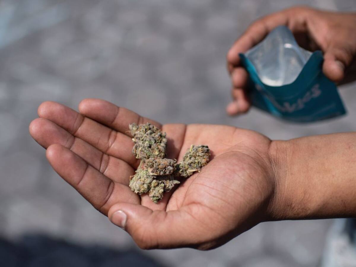 Entra en vigor la legalización de la marihuana en Alemania, ¿cuáles son las restricciones?