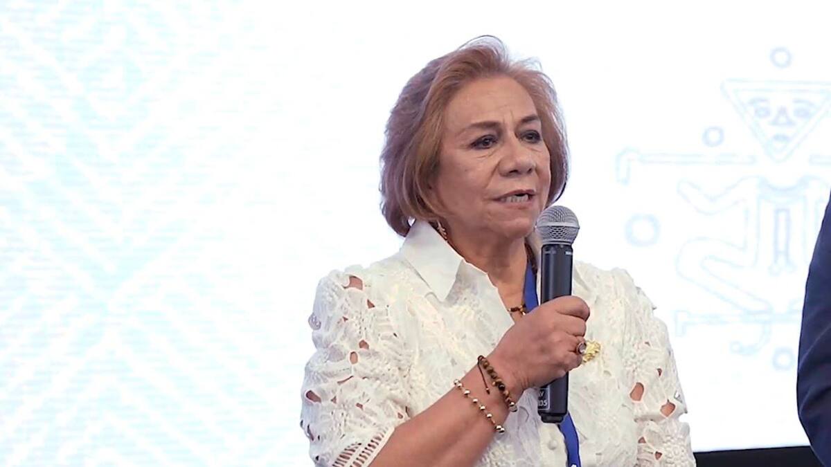 Canciller Villavicencio denunció ante la OEA presunta injerencia extranjera en elecciones