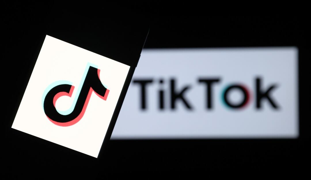 TikTok, app de contenido de entretenimiento 