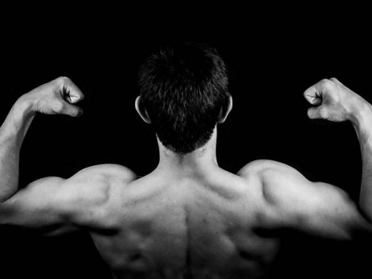 Datos curiosos de la masa muscular