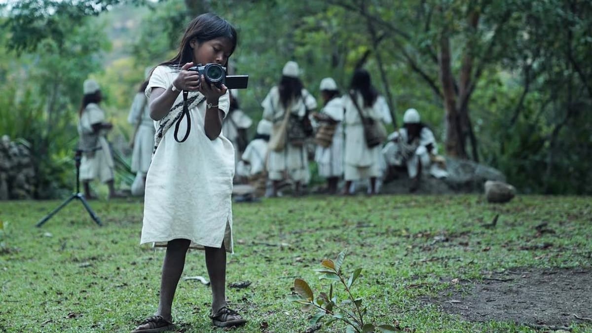 Esta organización produce documentales y procesos legales para defender los ecosistemas colombianos