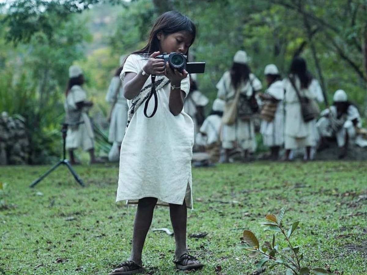 Esta organización produce documentales y procesos legales para defender los ecosistemas colombianos