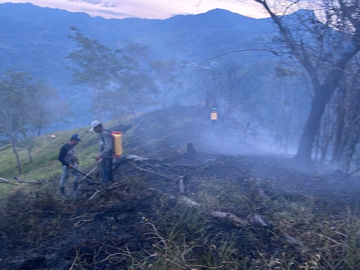 Incendio forestal en Coper afectó más de cuatro hectáreas
