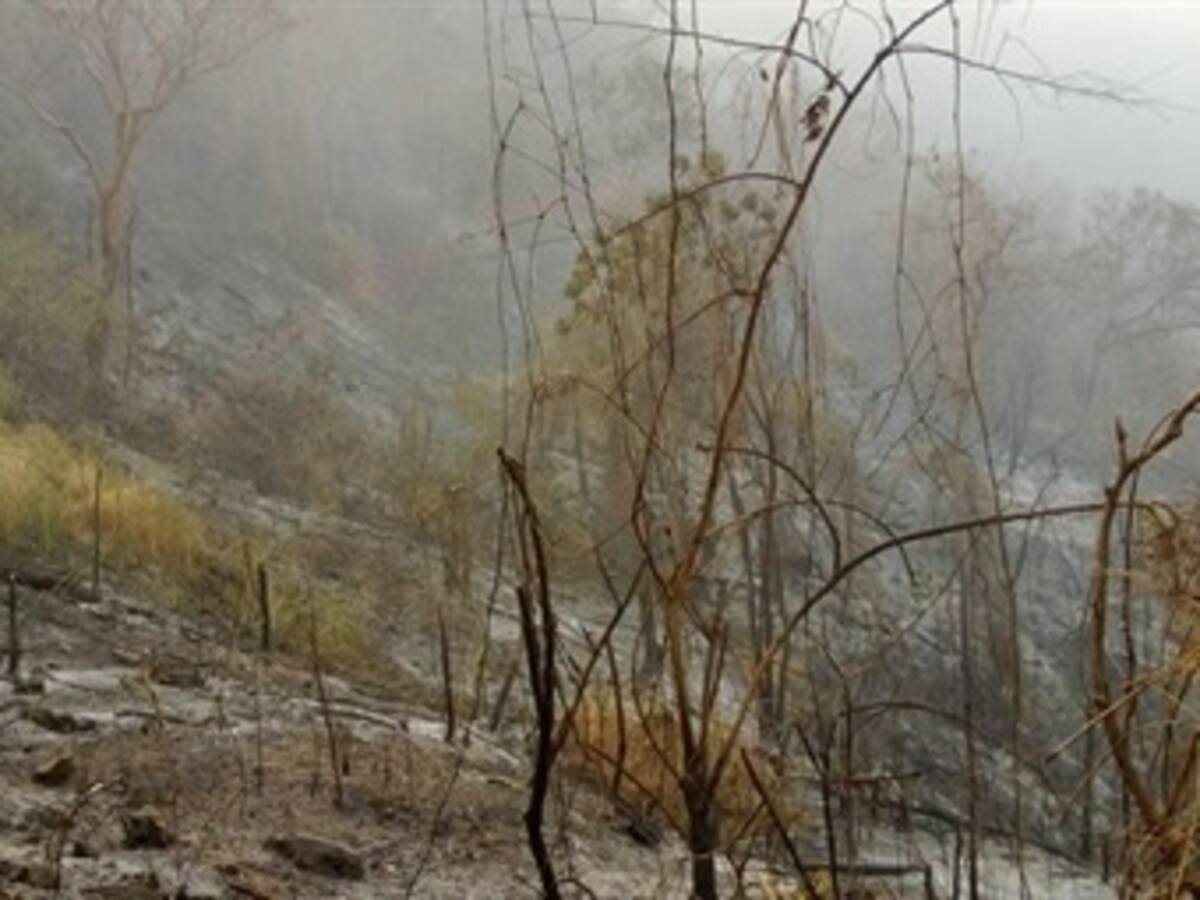 Falta de agua dificulta control de incendio forestal en la Sierra Nevada