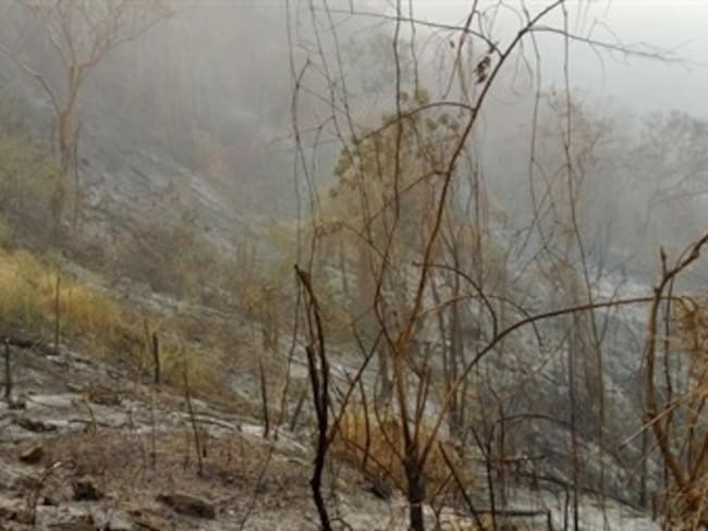 Falta de agua dificulta control de incendio forestal en la Sierra Nevada